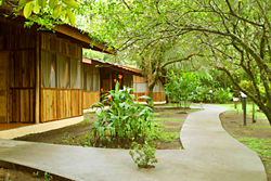 Turtle Beach Lodge, Tortuguero Costa Rica